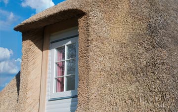 Juniper thatch roof disadvantages